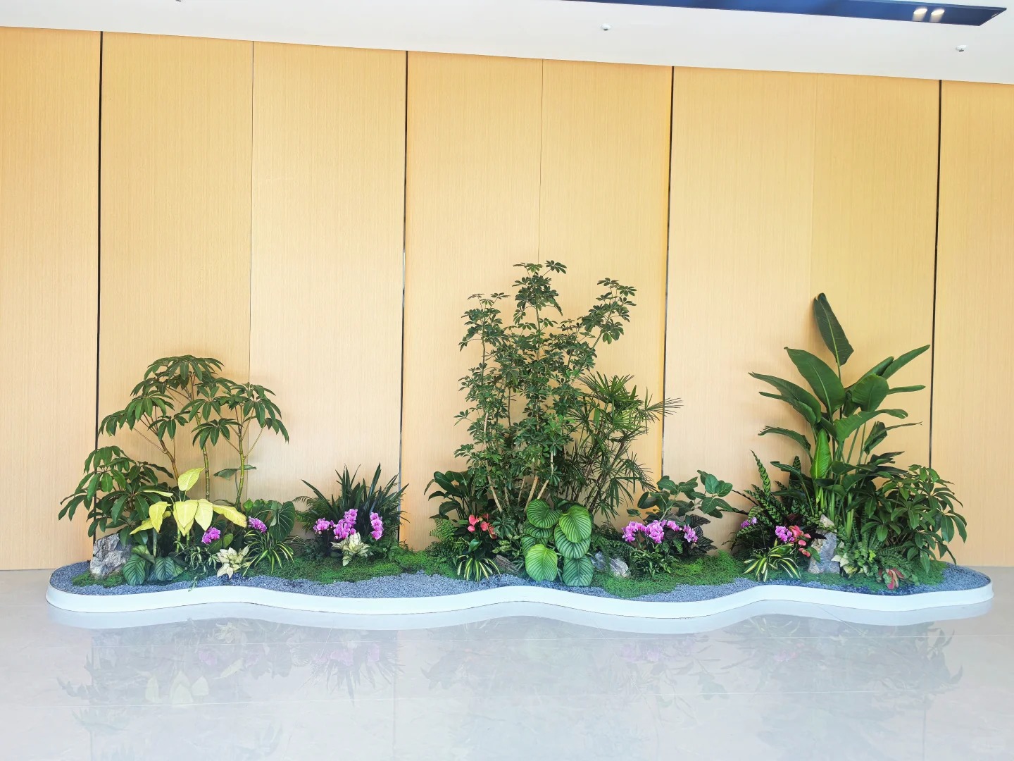 专业盆景出租,宁波海曙打造独特景观