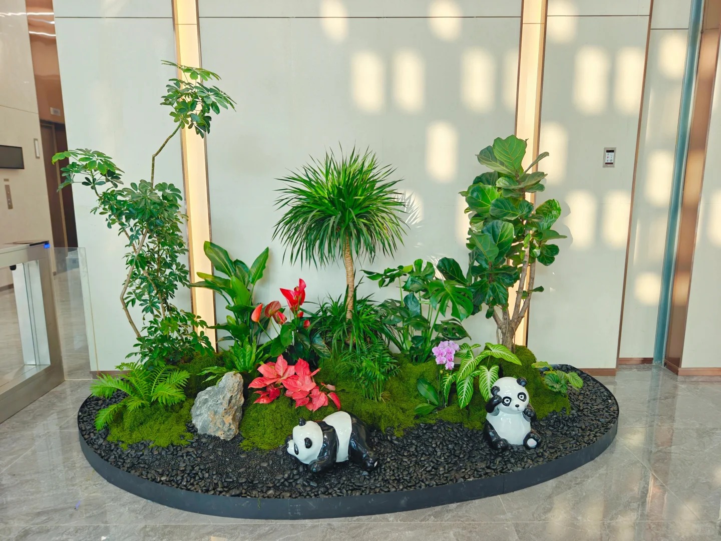 专业盆景出租,宁波海曙打造独特景观